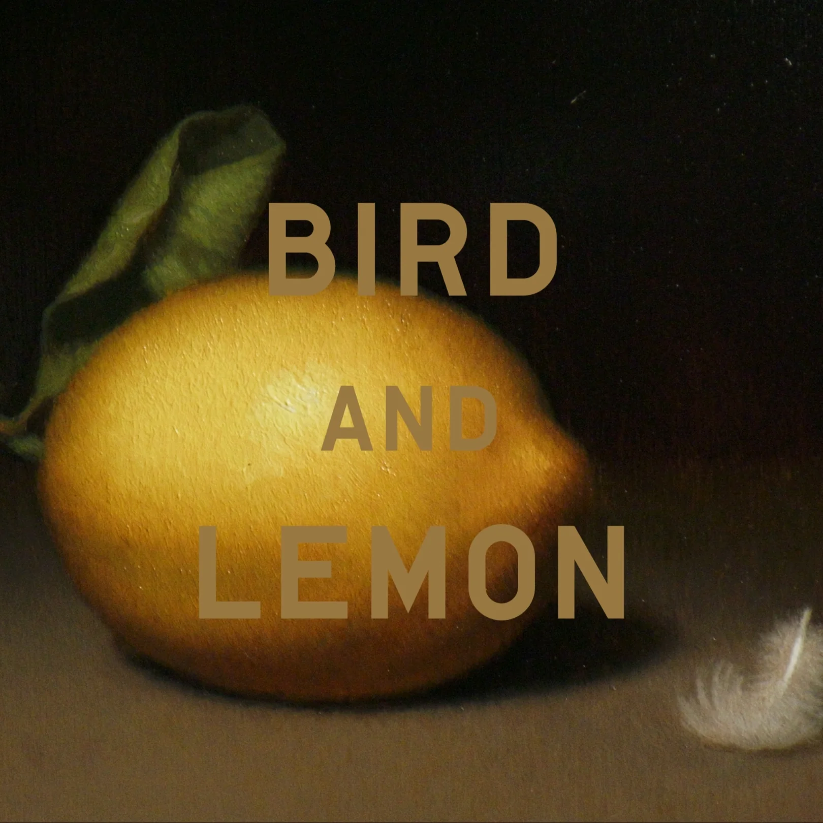 Bird And Lemon Scented Cards - Image 4