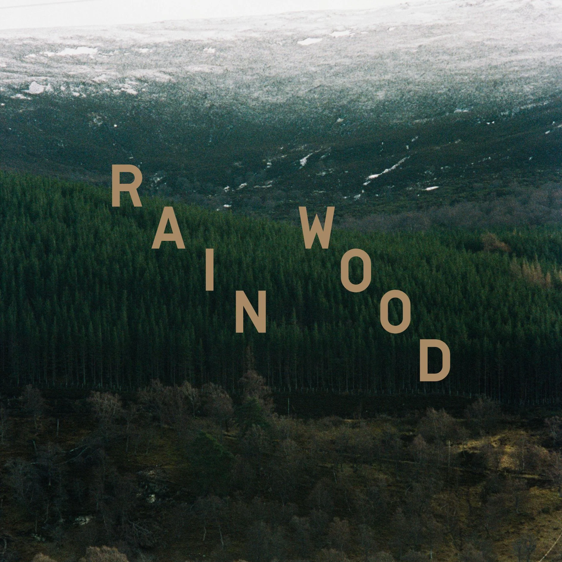 Rain Wood 100ml Handblown Eau de Parfum - Image 3