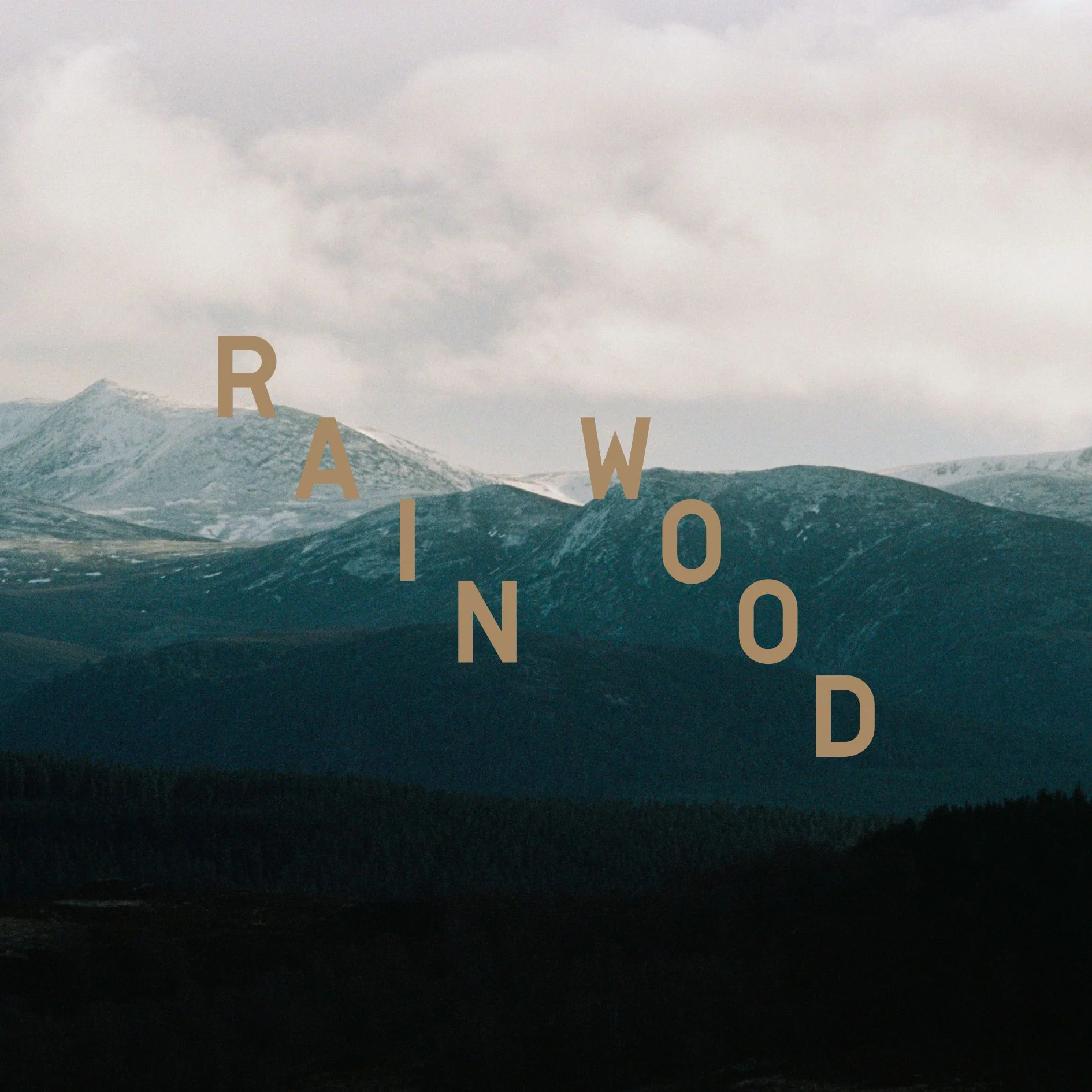 Rain Wood 50ml Eau de Parfum - Image 3
